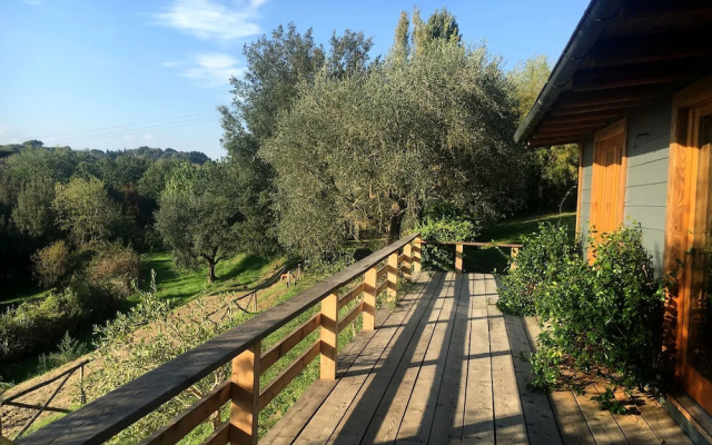 Madonnella Agricola
