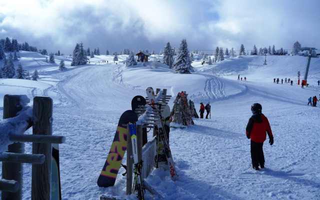 Chalet Hotel Du Bois