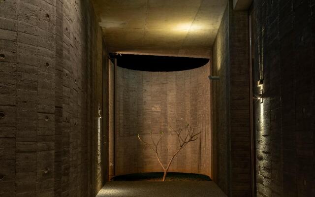 Wandering Walls