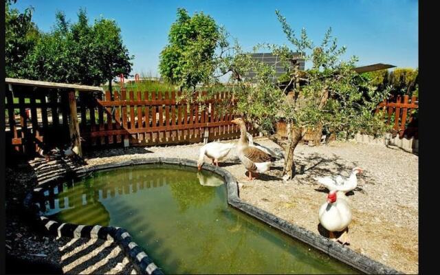 Casa rural Cal Modest