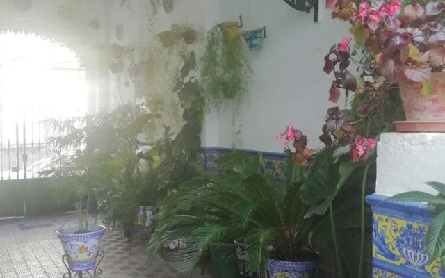 Wish Suite Patio de la Flores