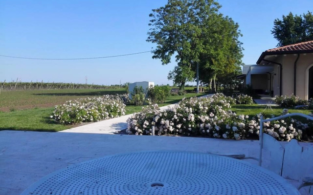 Agriturismo La Borina