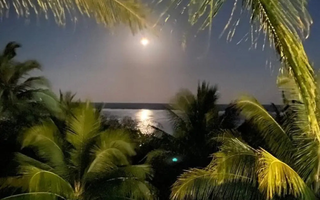 Blue b7 departamentos