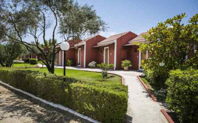 Dendrolivano Studios & Apartments