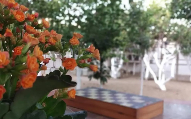 PERIVOLI 4-CHORA(5min away from the center by car)
