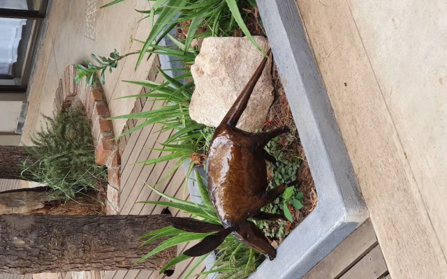 444 on Taaibos Bush Villa