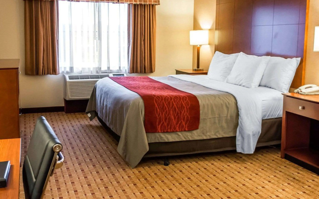 Comfort Inn & Suites Franklin East