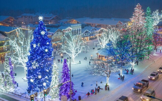 Das Tree Haus 1 Bedroom Home by NW Comfy Cabins by RedAwning