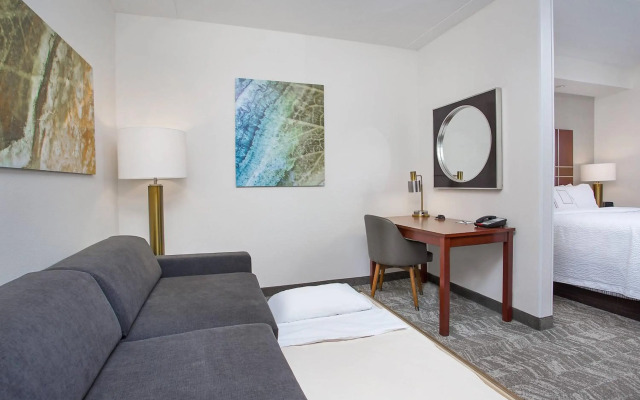 SpringHill Suites by Marriott Pigeon Forge