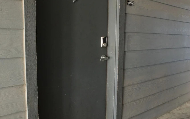 Central Austin Apartments by WanderJaunt