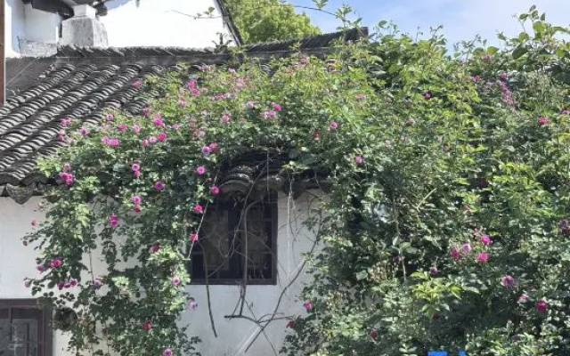 Xitang Chunye · Warm Dream Light Luxury Homestay