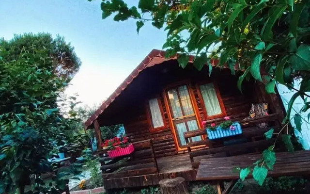 Zeytindagi Bungalow