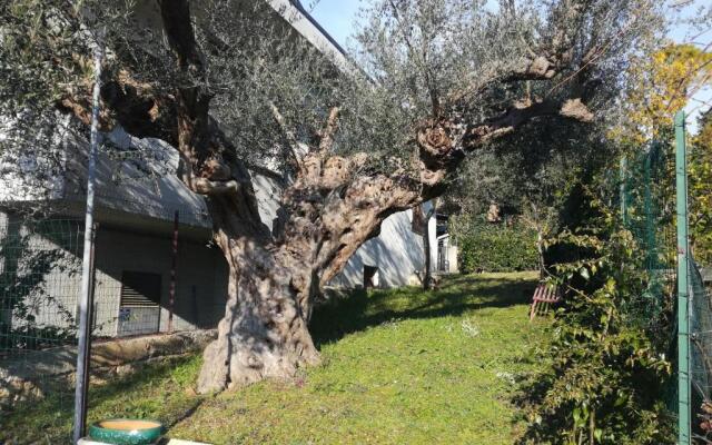Le sorelle gemelle B&B