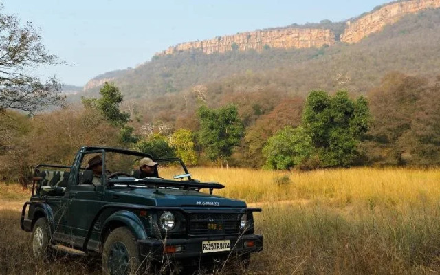 The Ranthambhore Bagh