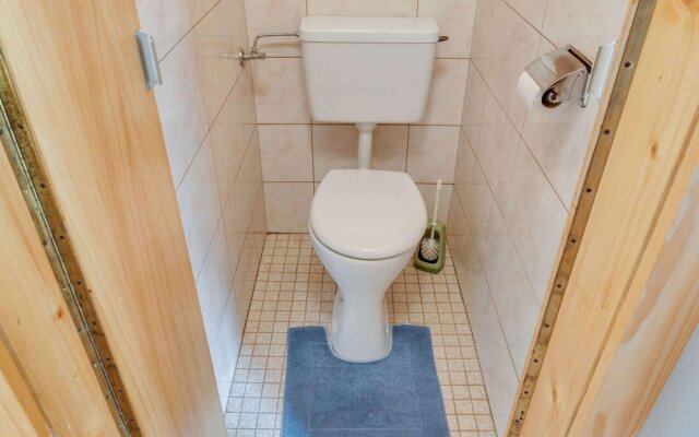 Spacious Chalet in Maishofen near Forest