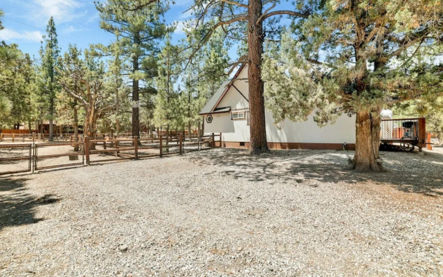 ONE Hundred Pines Ranch #2005