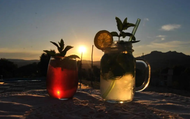 Pasare Glamping
