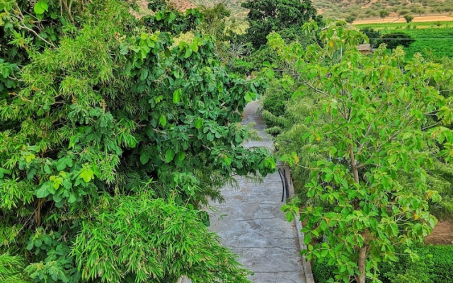 Nurture by Madpackers