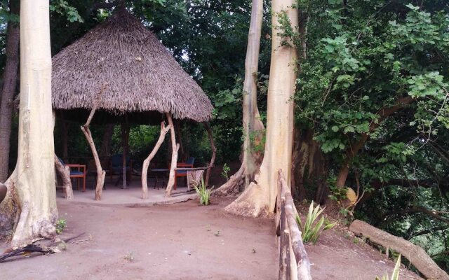 Selous Adili Forest Camp