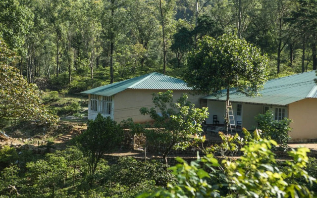 Mistly Plantation Bungalow