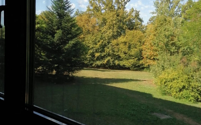 Luxury Calmness Apartment