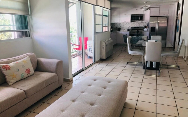 Suburb Pethouse Apartment