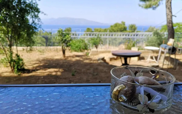 Panorama View Apartment 3