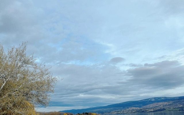 Peaceful and Spacious Lake View