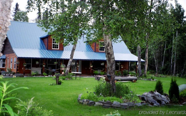 Blonde Bear Bed & Breakfast