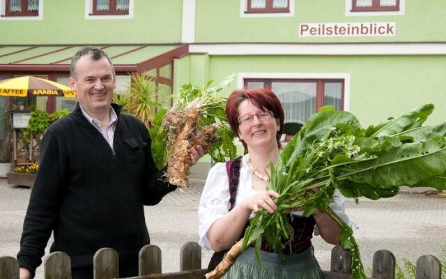 Landgasthof Peilsteinblick