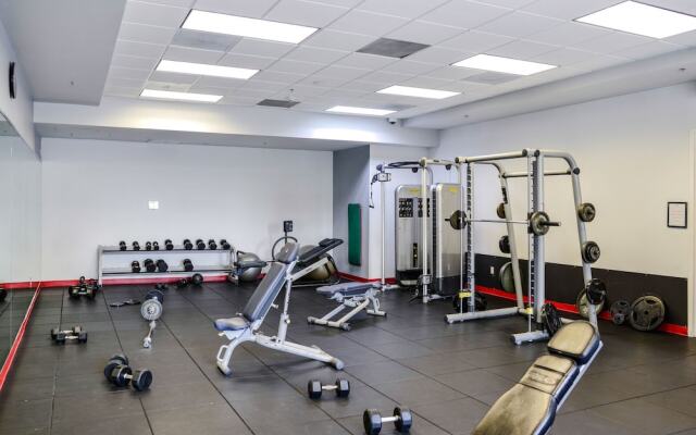 Amazing 3 BR Apartment At Brickell