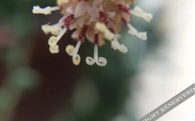 Red-Star Youth Hostel