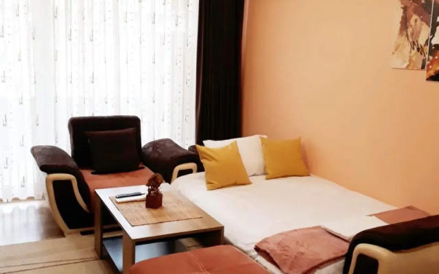 Sunflower Apartment City Center