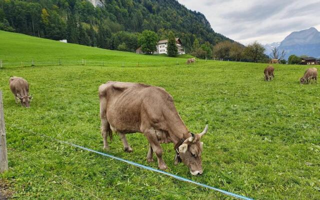 priv. Apartment bei Swiss Holiday Park
