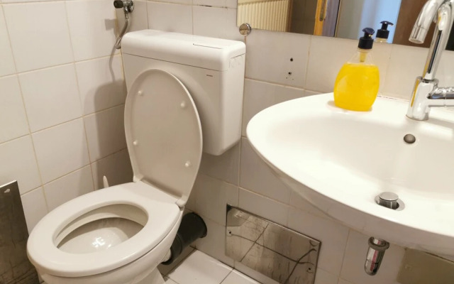 Dunajska Apartment