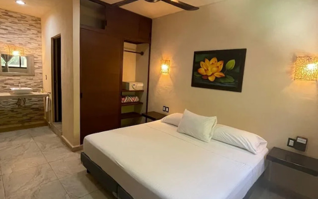 Macondo Raíz Holbox