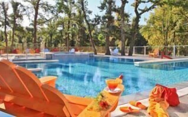 Albirondack Park Camping Lodge and Spa