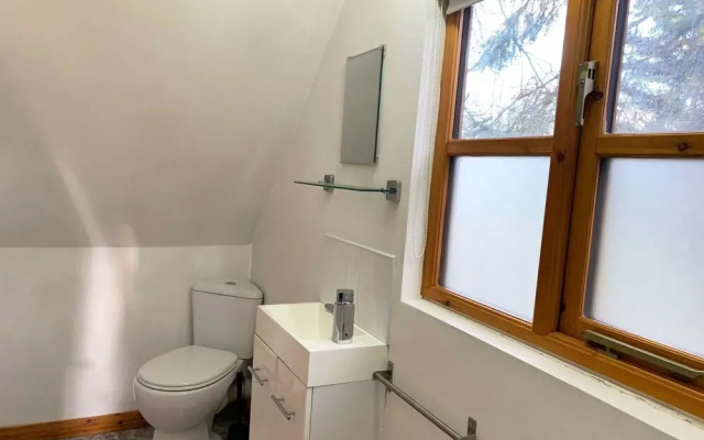 The forest wooden Flat