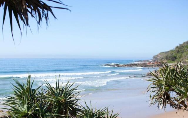 Papillon Coolum
