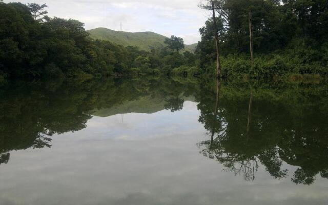 Periyar Woods