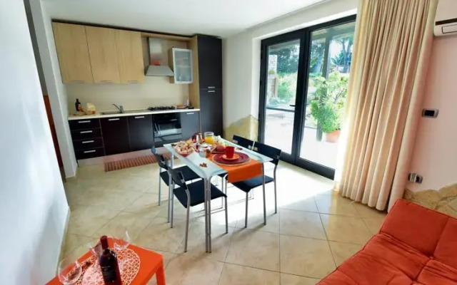 OLYMPUS PARK amnesia