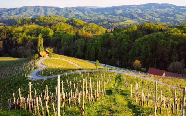 Ski Apartment Frigo Pohorje 2
