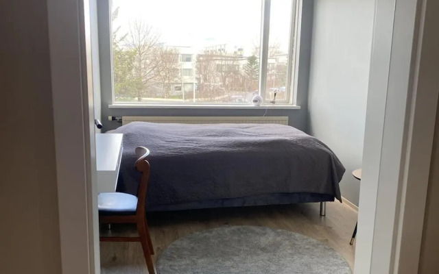 Bright and Spacious 2 Bedroom Apartment in Rvk