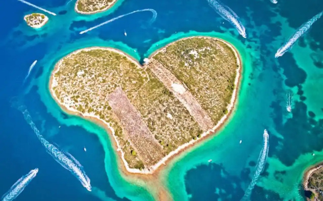 Villa Maslina in Sikovo