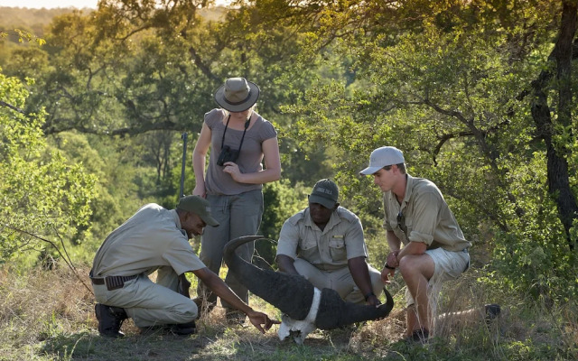 Tanda Tula Safari Camp