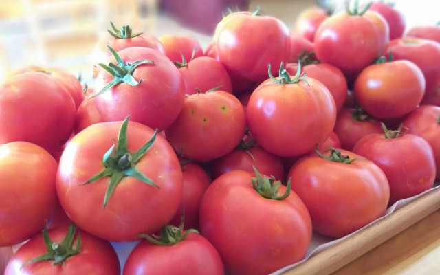 Happy and Healthy Gozo