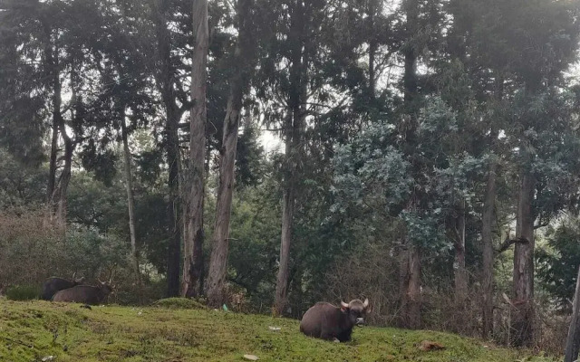 Bon Sejour Ooty Hill View Resort & Hotel