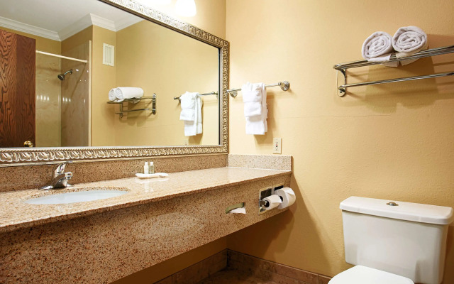 Best Western Plus Southpark Inn & Suites
