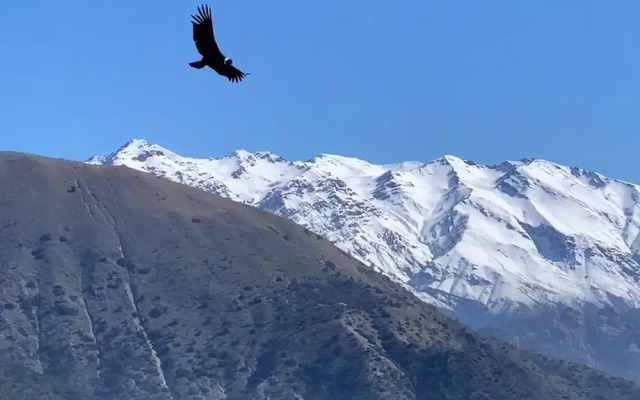 Origen del Maipo Lodge
