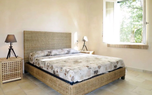 LEssiccatoio (BOL222)